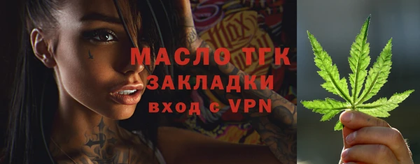 стаф Тутаев