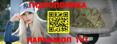 Альфа ПВП Беслан