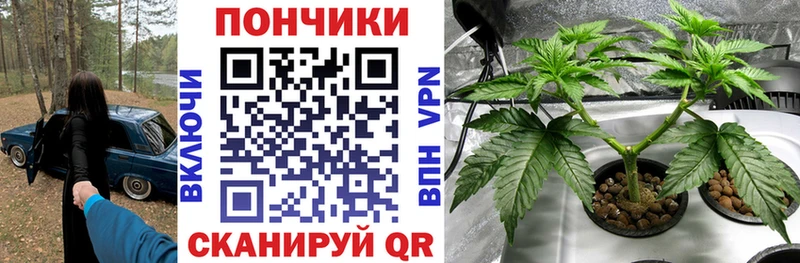 Шишки марихуана SATIVA & INDICA  сколько стоит  Калуга 